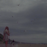 nowness video the sea close by by albert camus_screenshot